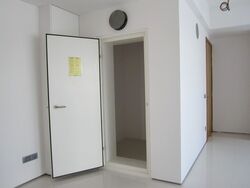 Lumiere (D2), Apartment #397276121